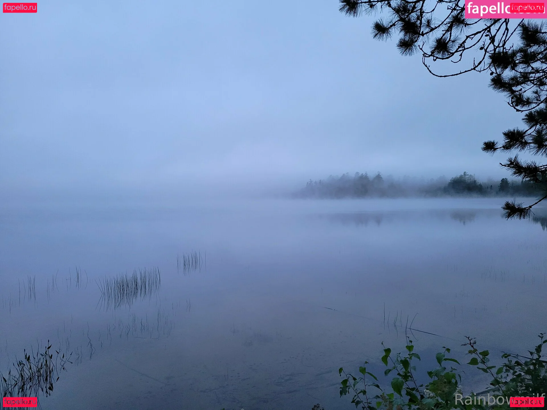 u69507126 Onlyfans Photo Gallery 