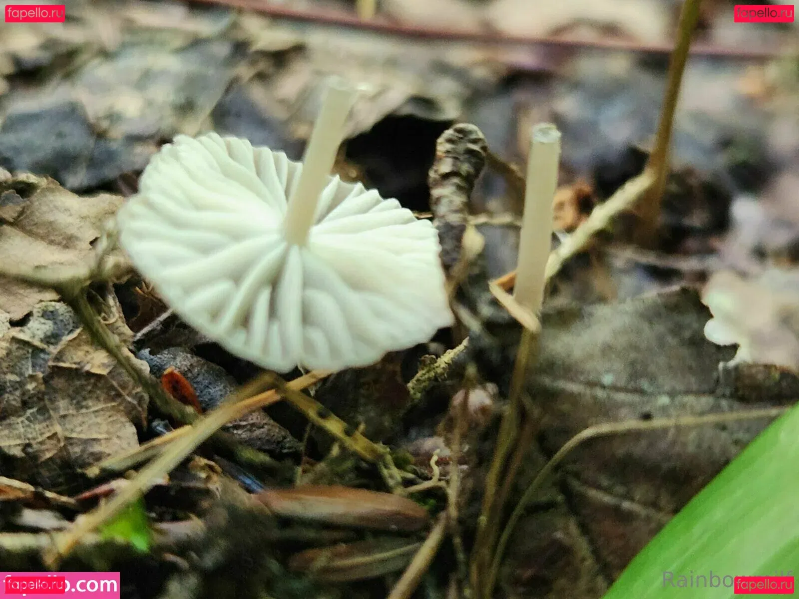 u69507126 Onlyfans Photo Gallery 