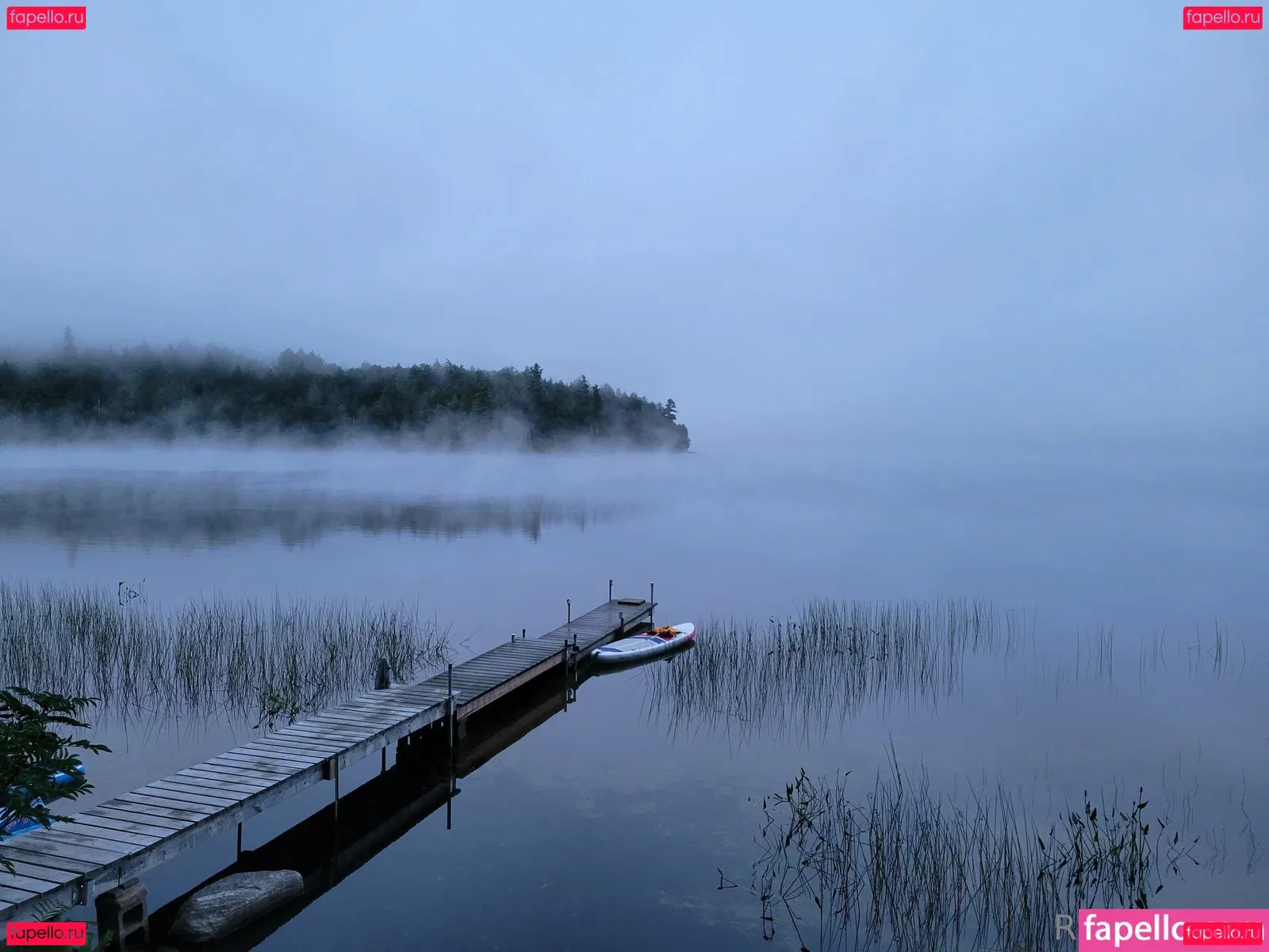 u69507126 Onlyfans Photo Gallery 