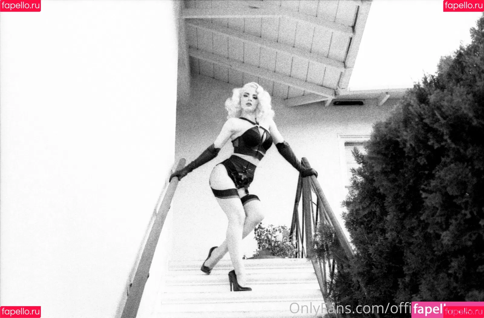 officiallymosh Onlyfans Photo Gallery 