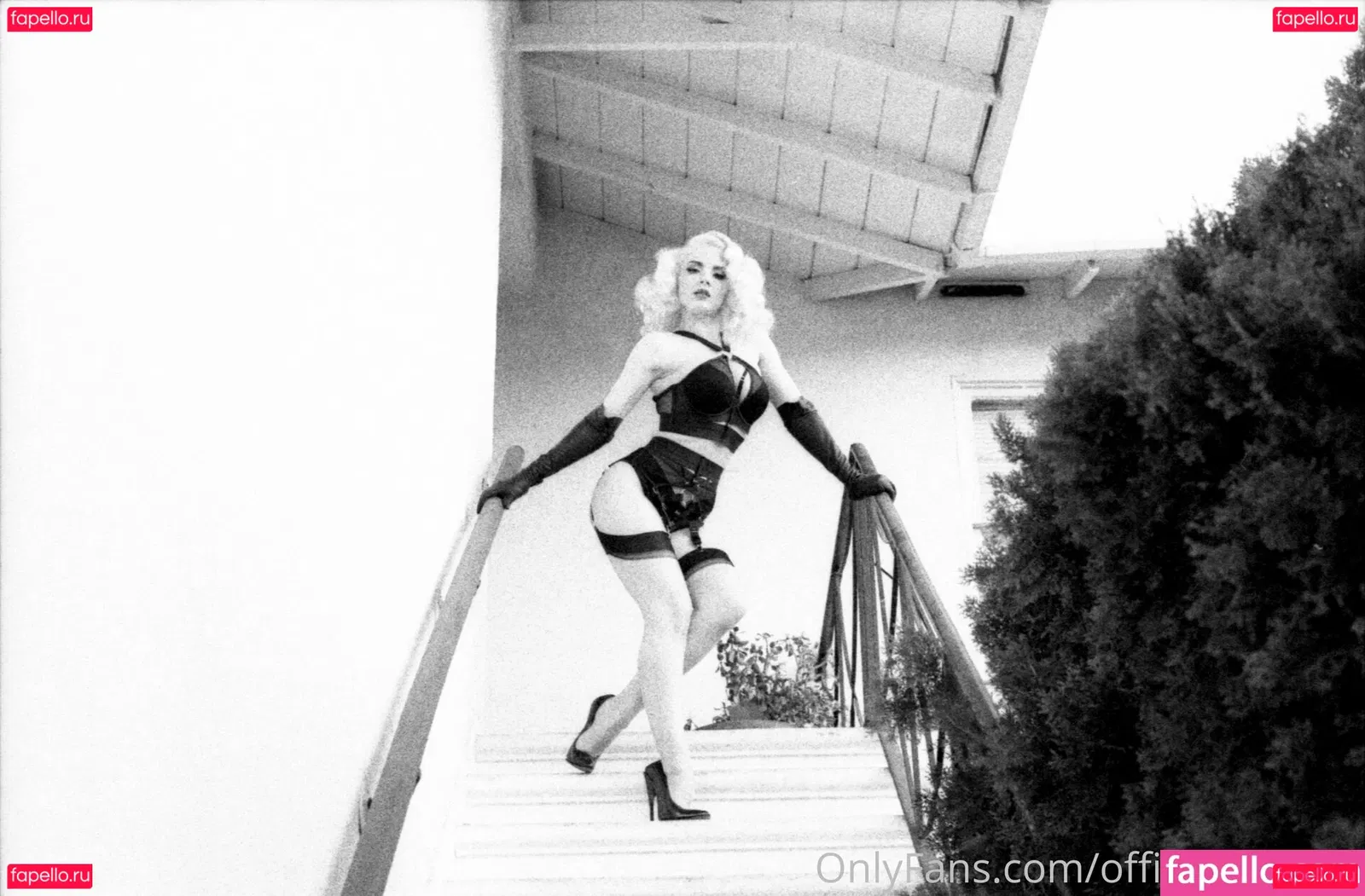 officiallymosh Onlyfans Photo Gallery 