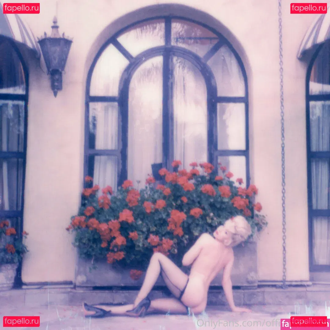 officiallymosh Onlyfans Photo Gallery 