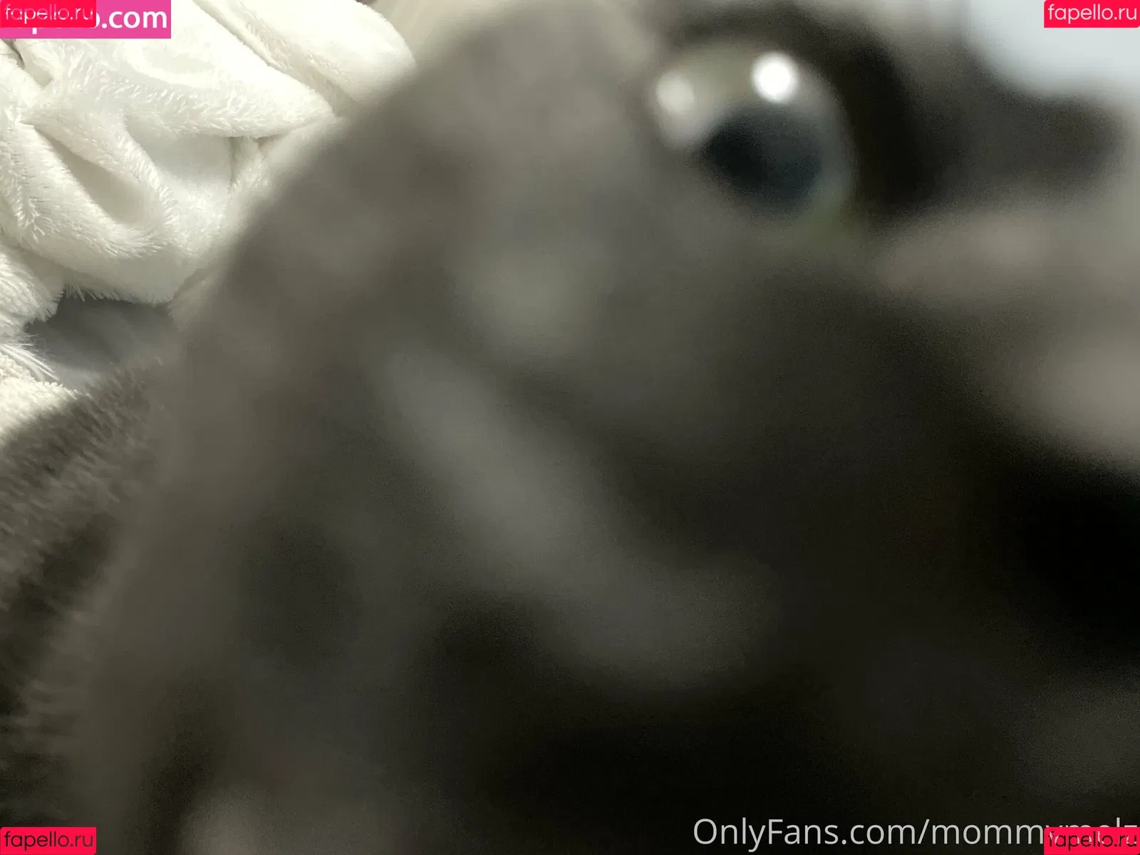 mommymelz Onlyfans Photo Gallery 