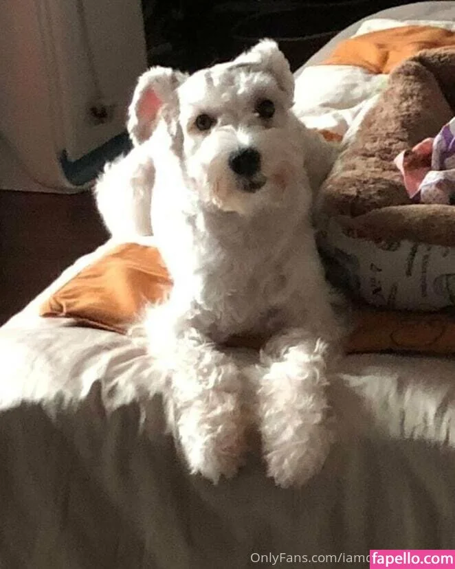 iamdorasnowfree Onlyfans Photo Gallery 