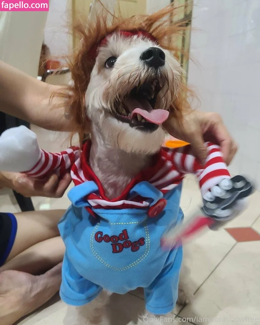 iamdorasnowfree Onlyfans Photo Gallery 