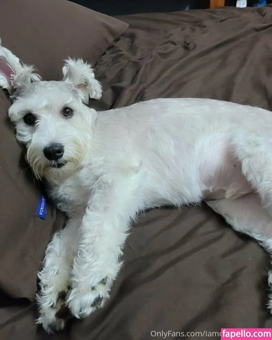 iamdorasnowfree Onlyfans Photo Gallery 