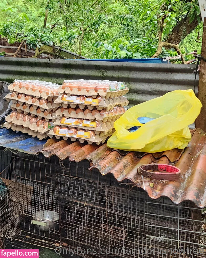 iamdorasnowfree Onlyfans Photo Gallery 