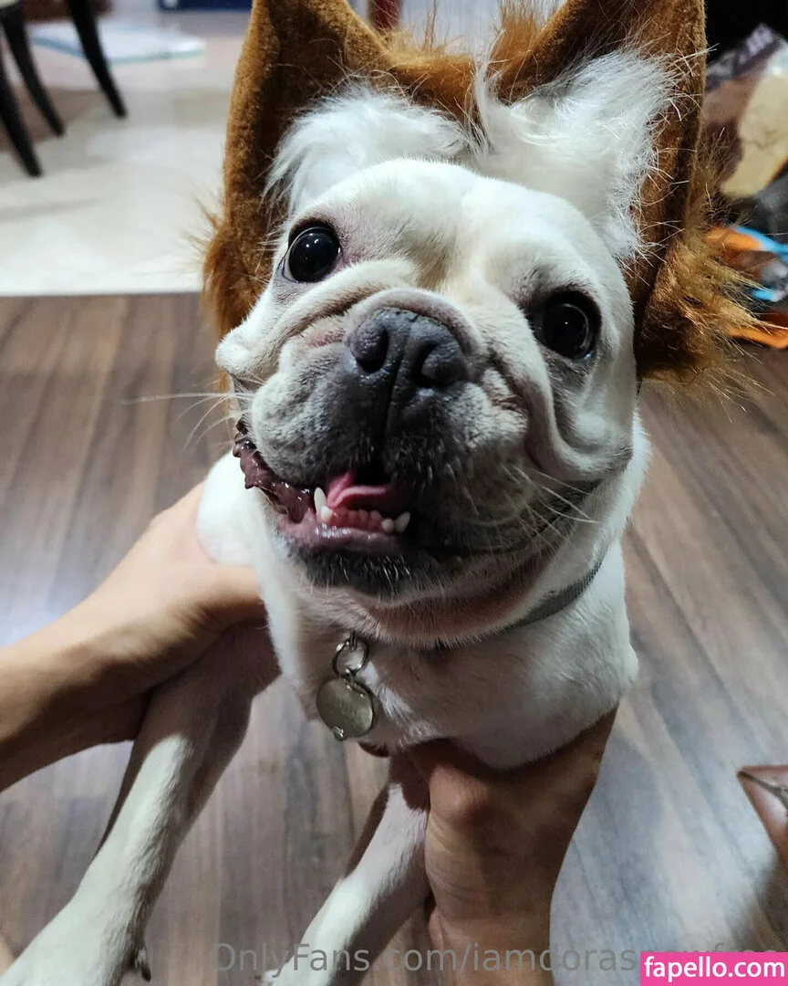 iamdorasnowfree Onlyfans Photo Gallery 