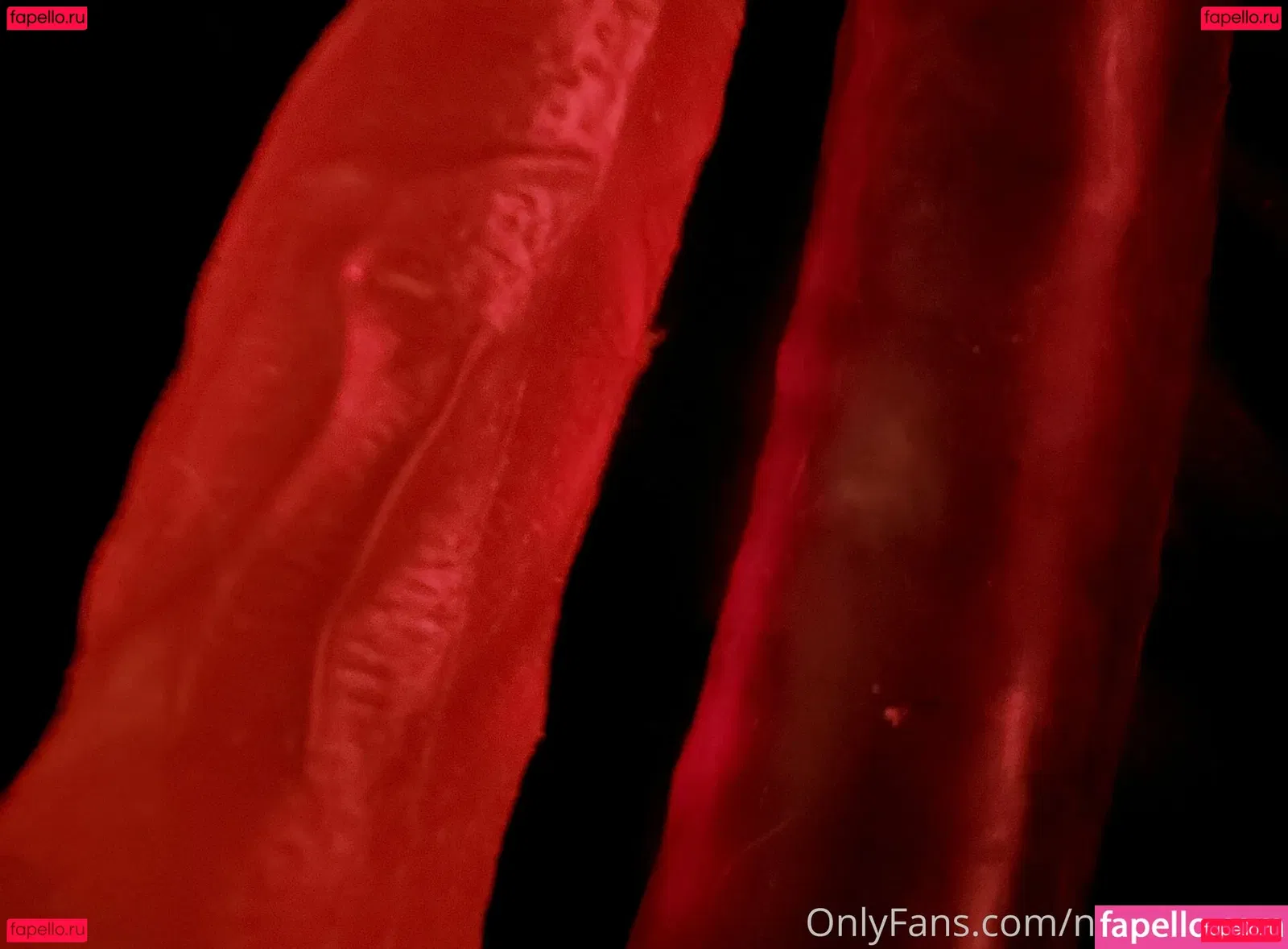 nekogoth23 Onlyfans Photo Gallery 