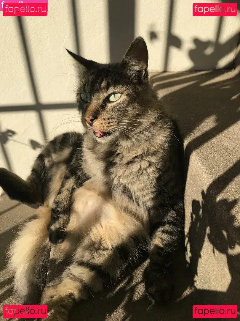 Shashi Onlyfans Photo Gallery 