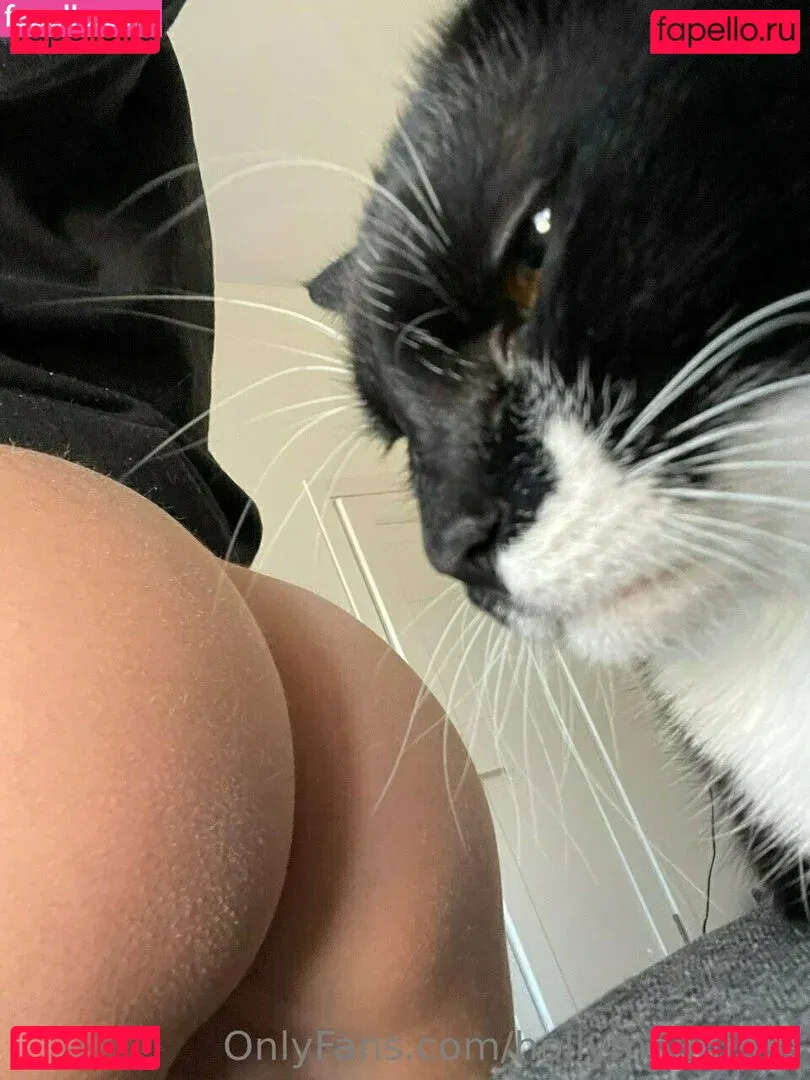 hollymoonvvip Onlyfans Photo Gallery 