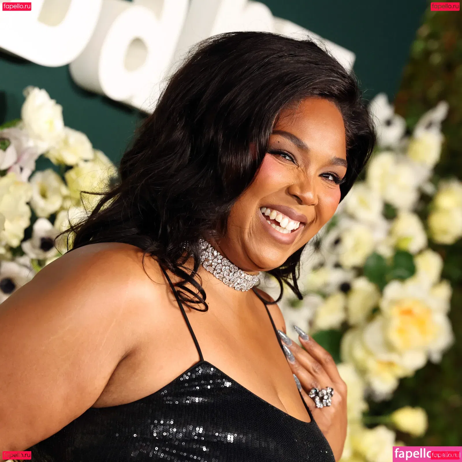 Lizzo Onlyfans Photo Gallery 