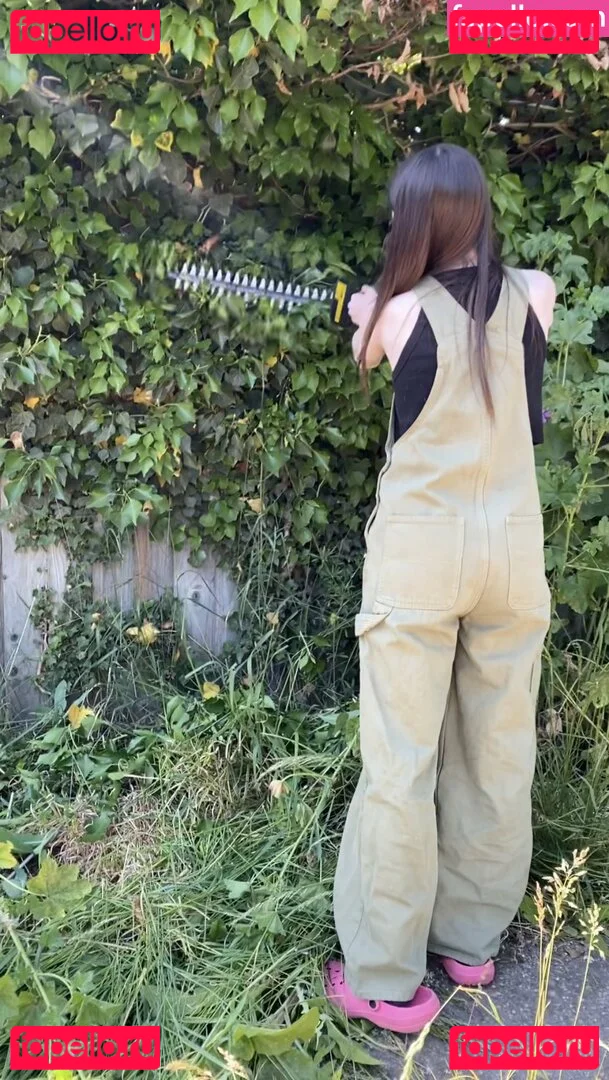 Frankie Lollia Onlyfans Photo Gallery 