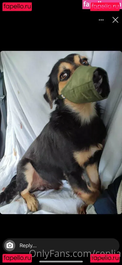 ceplia Onlyfans Photo Gallery 