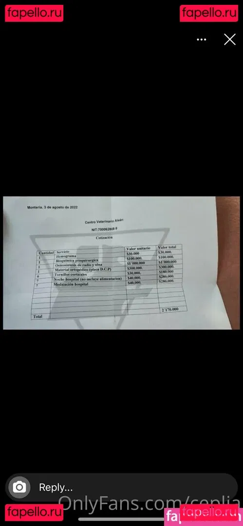 ceplia Onlyfans Photo Gallery 