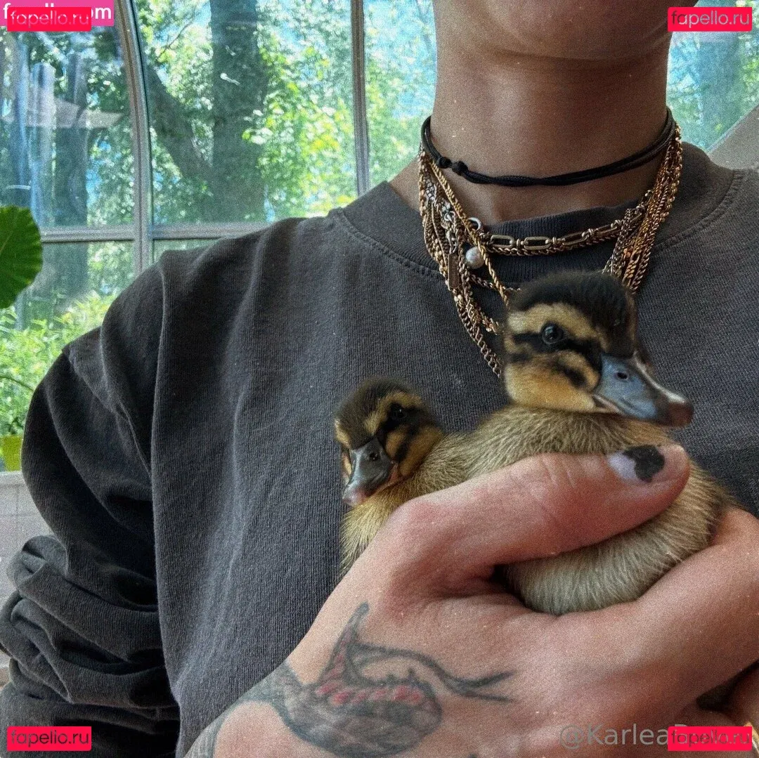 karleaxoxo Onlyfans Photo Gallery 