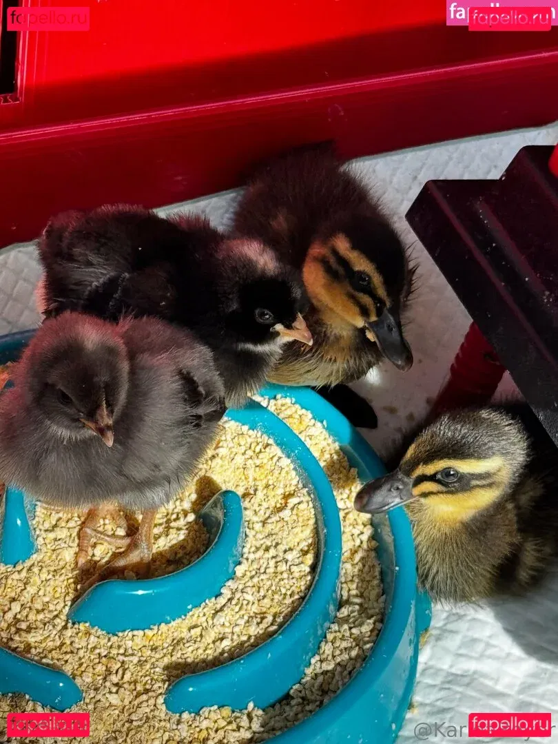 karleaxoxo Onlyfans Photo Gallery 