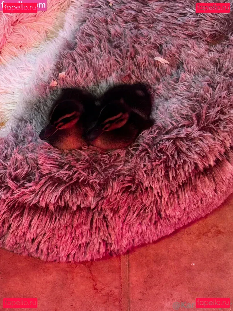 karleaxoxo Onlyfans Photo Gallery 