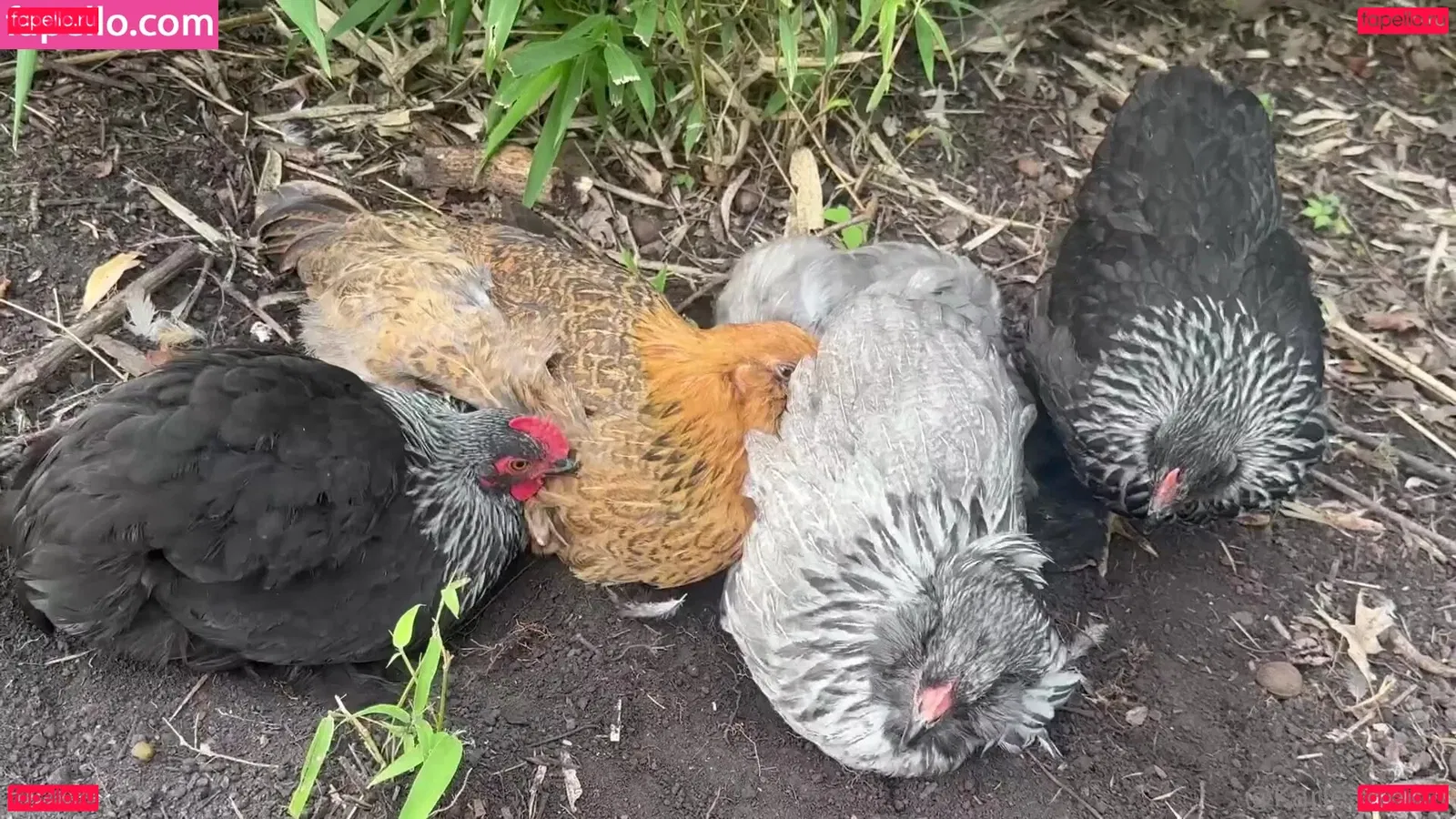 karleaxoxo Onlyfans Photo Gallery 