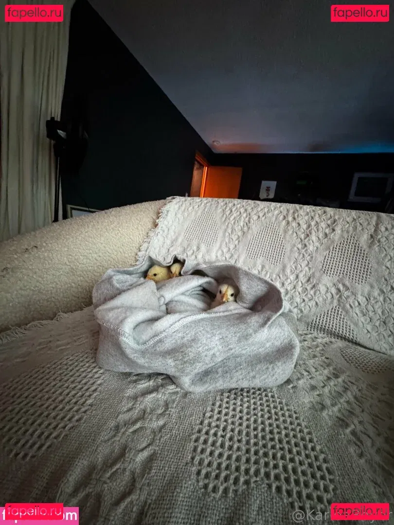 karleaxoxo Onlyfans Photo Gallery 