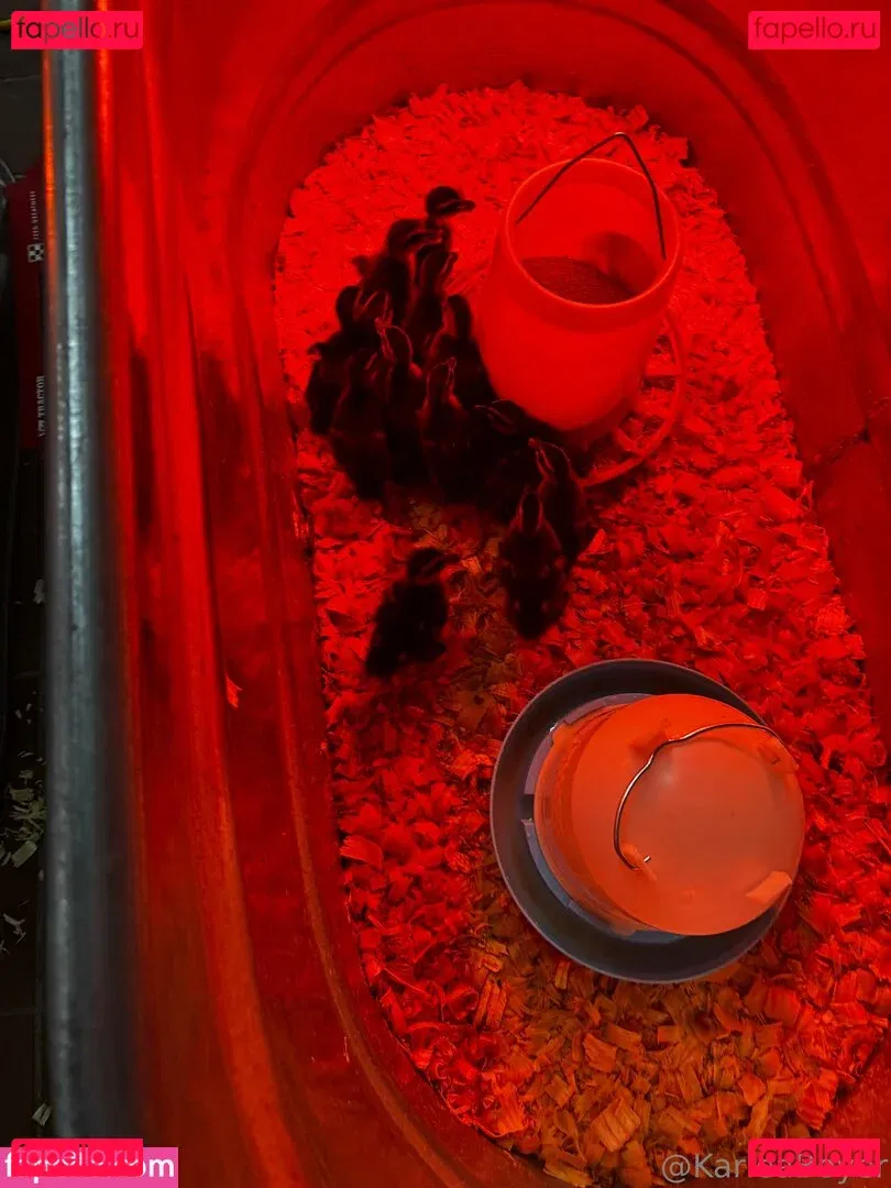 karleaxoxo Onlyfans Photo Gallery 