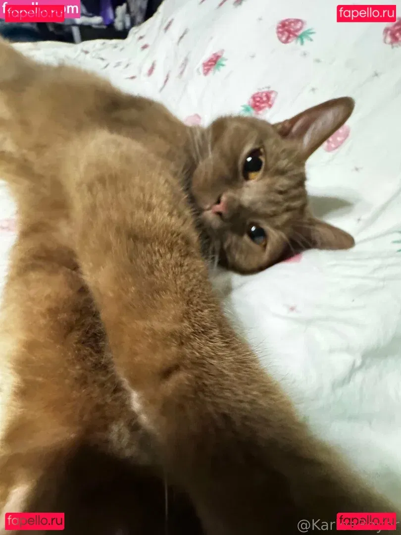 karleaxoxo Onlyfans Photo Gallery 