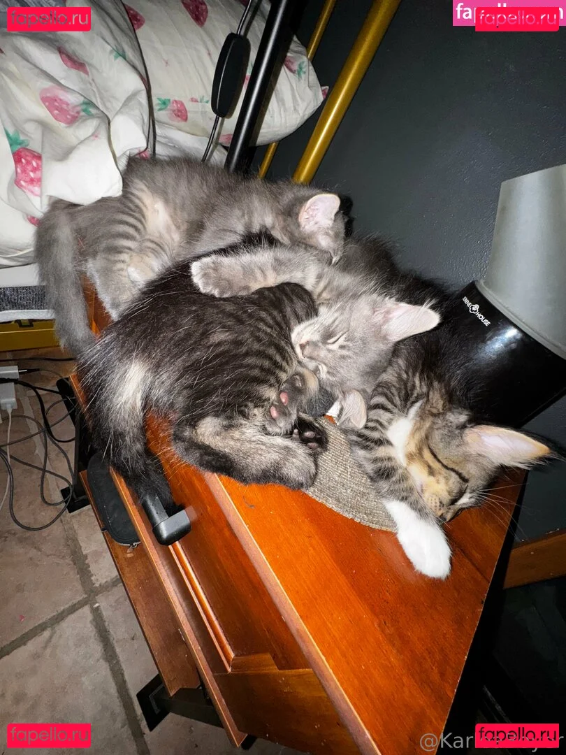 karleaxoxo Onlyfans Photo Gallery 