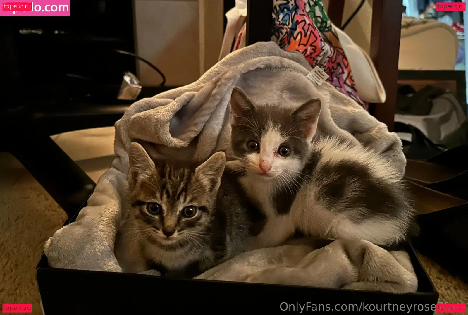 kourtneyrose7free Onlyfans Photo Gallery 