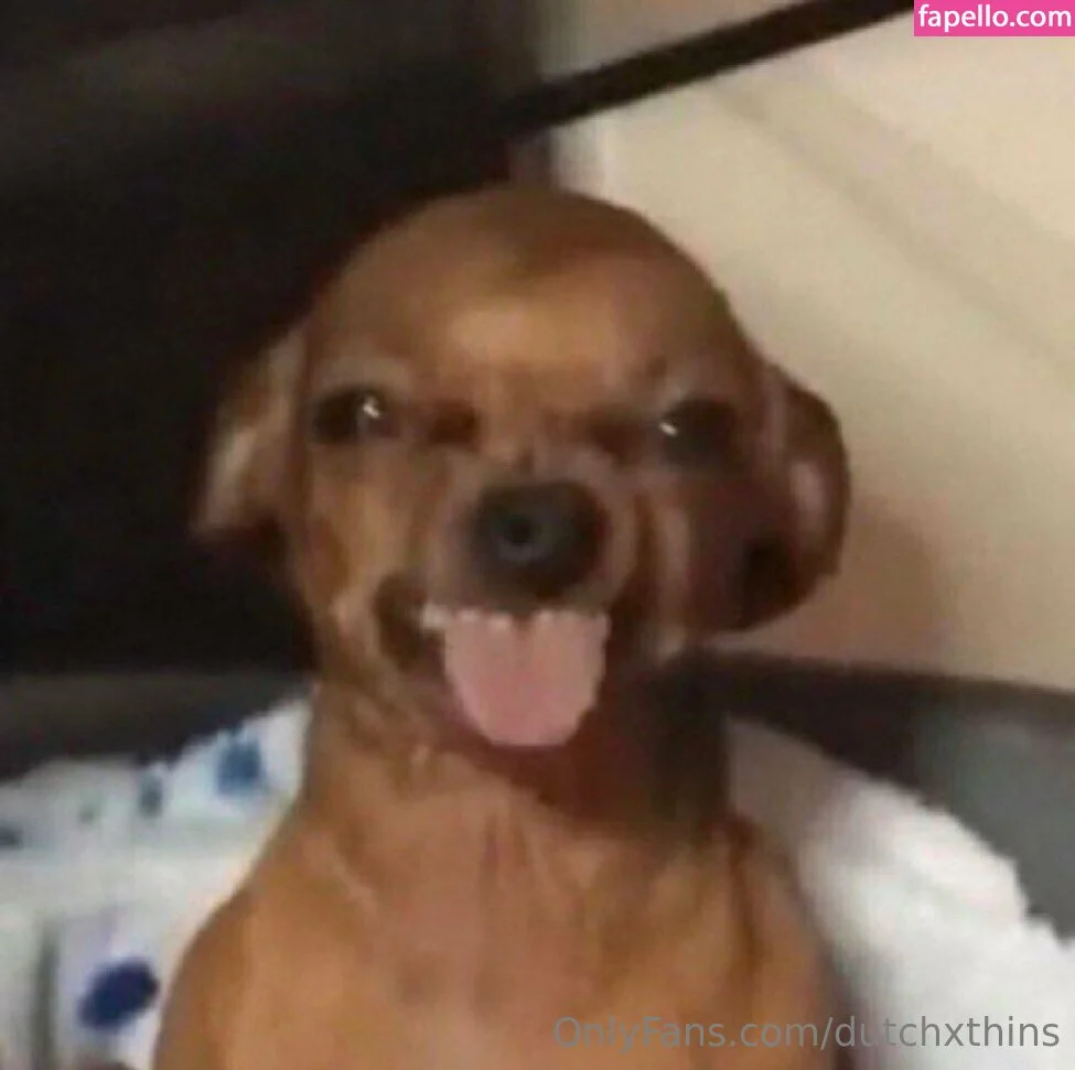 Dutchxthins Onlyfans Photo Gallery 