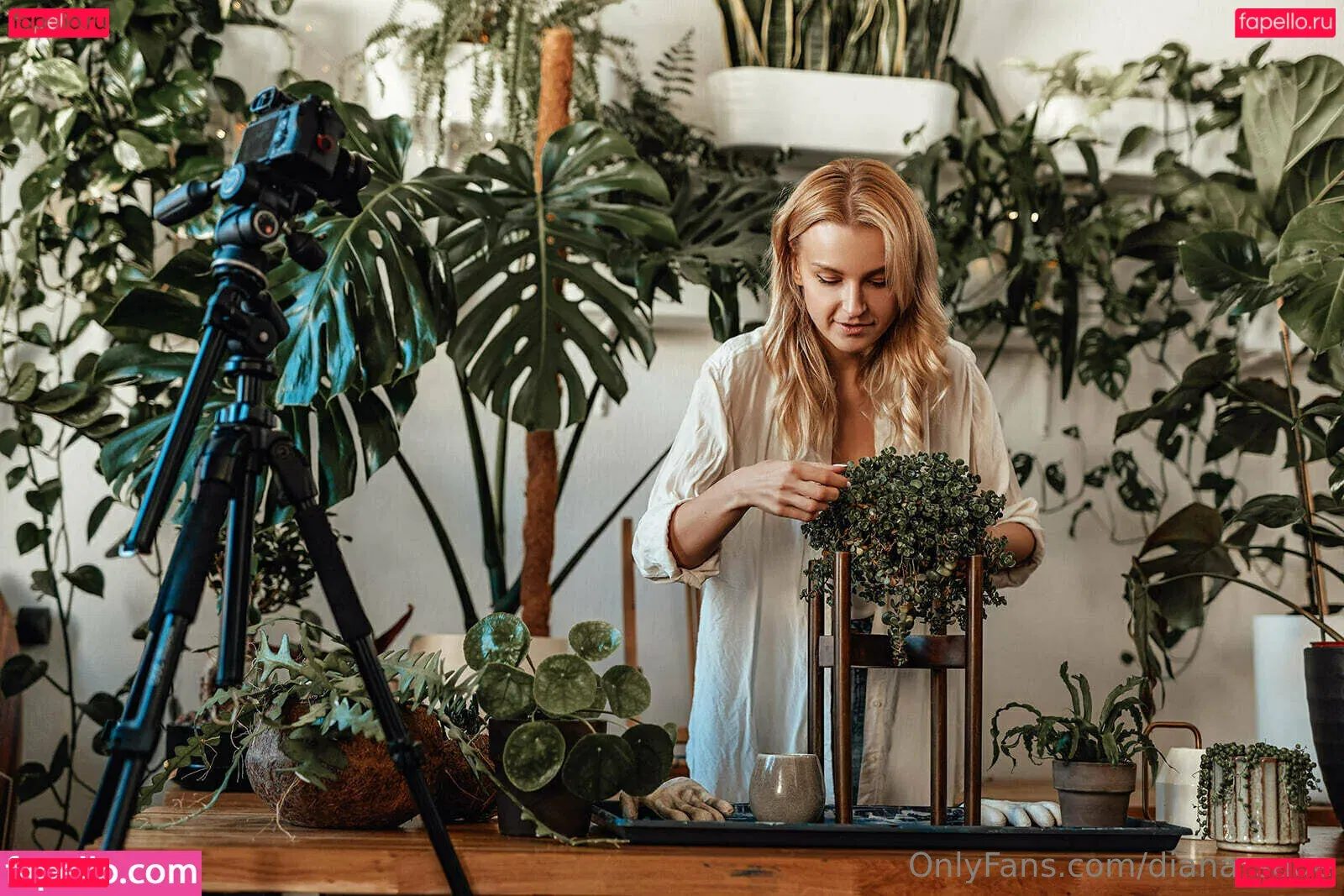 more_than_palnts Onlyfans Photo Gallery 