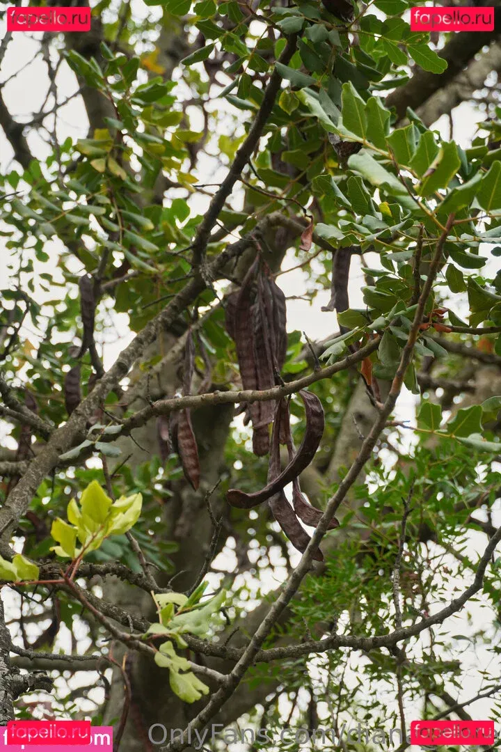 more_than_palnts Onlyfans Photo Gallery 