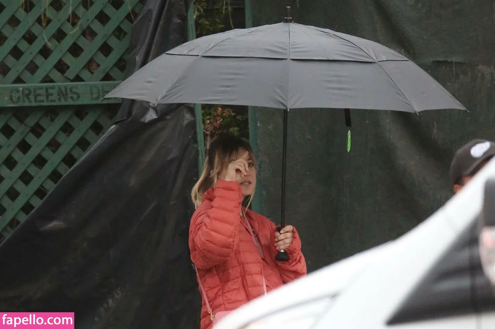 Kaley Cuoco Onlyfans Photo Gallery 