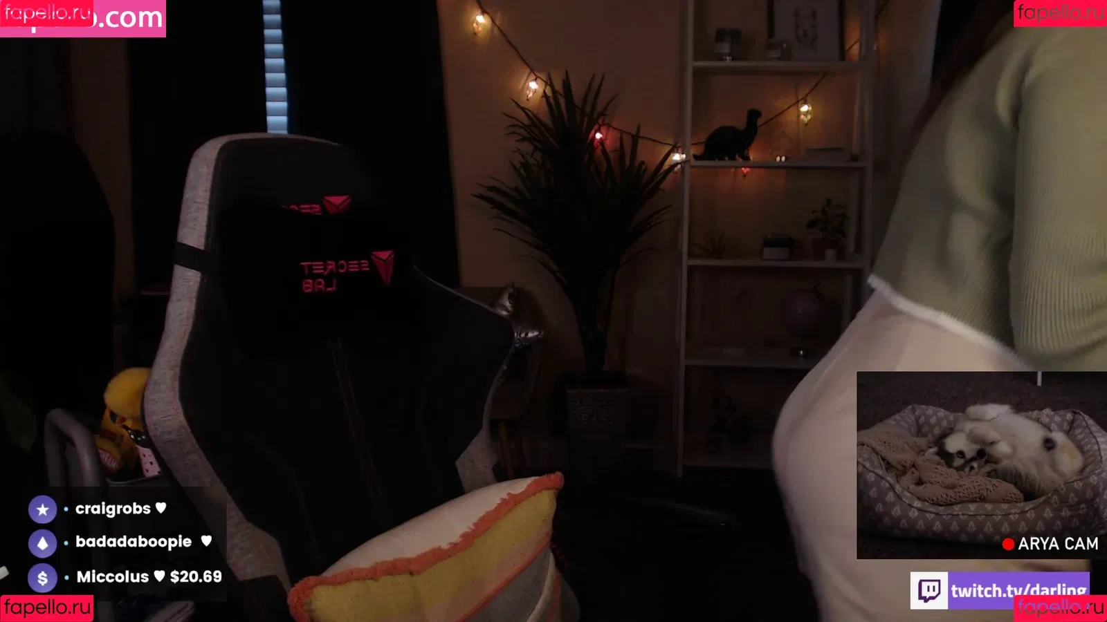 ASMR Darling Onlyfans Photo Gallery 