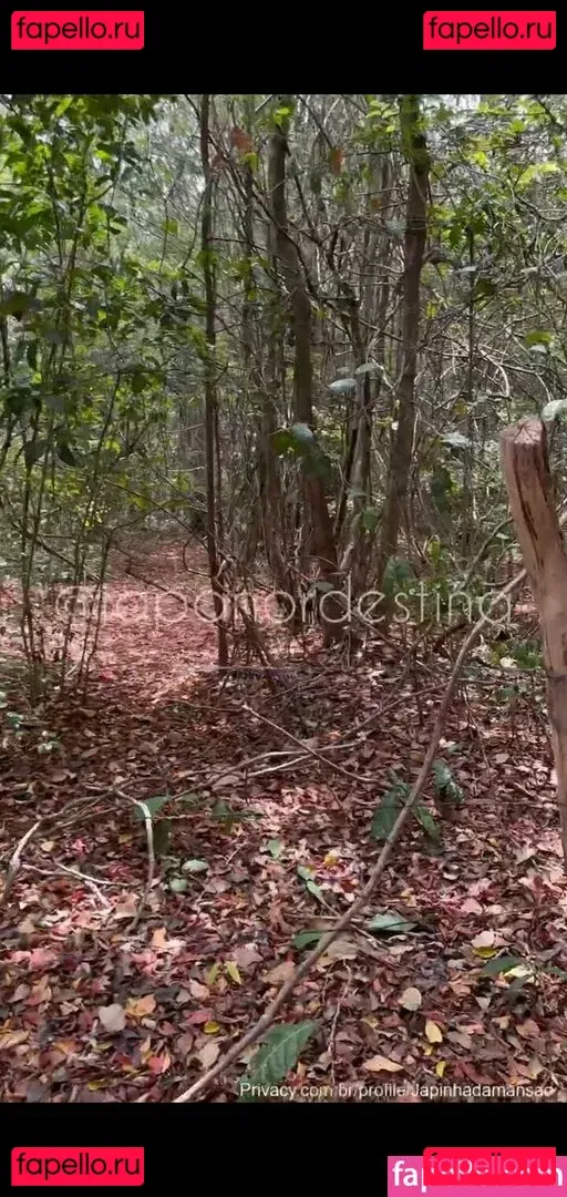 Japa Alee Onlyfans Photo Gallery 