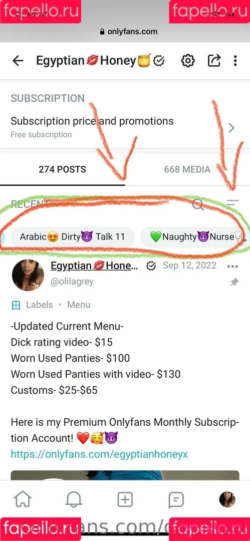 olilagrey Onlyfans Photo Gallery 