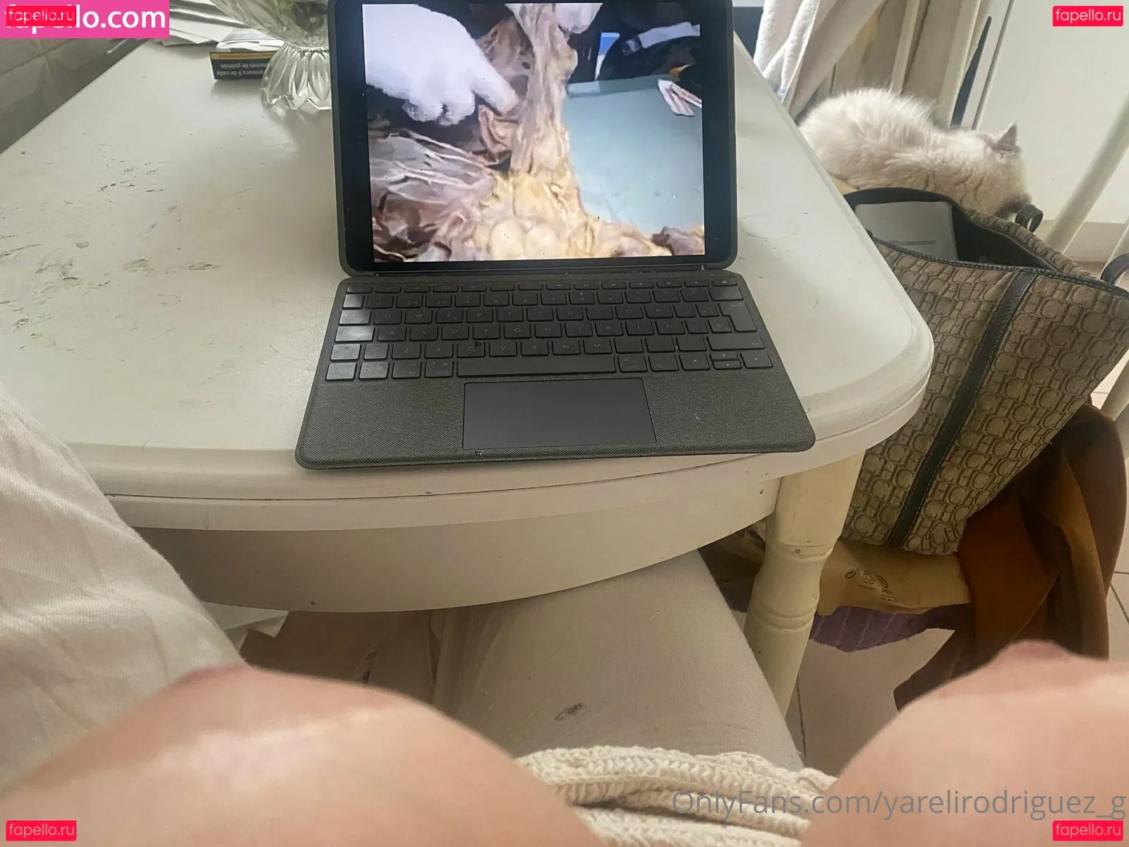 yarelirodriguez_g Onlyfans Photo Gallery 