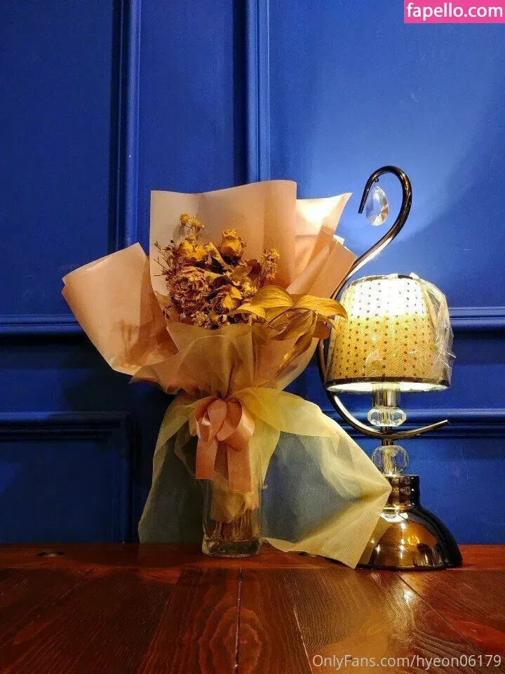 Hyeon06179 Onlyfans Photo Gallery 