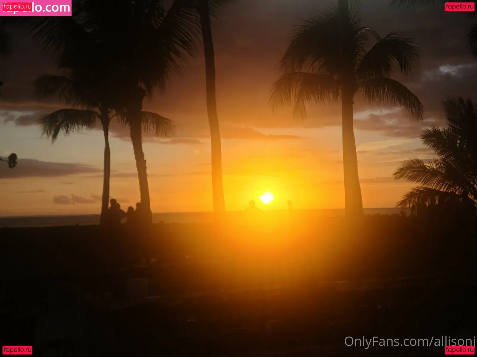 allisonj Onlyfans Photo Gallery 