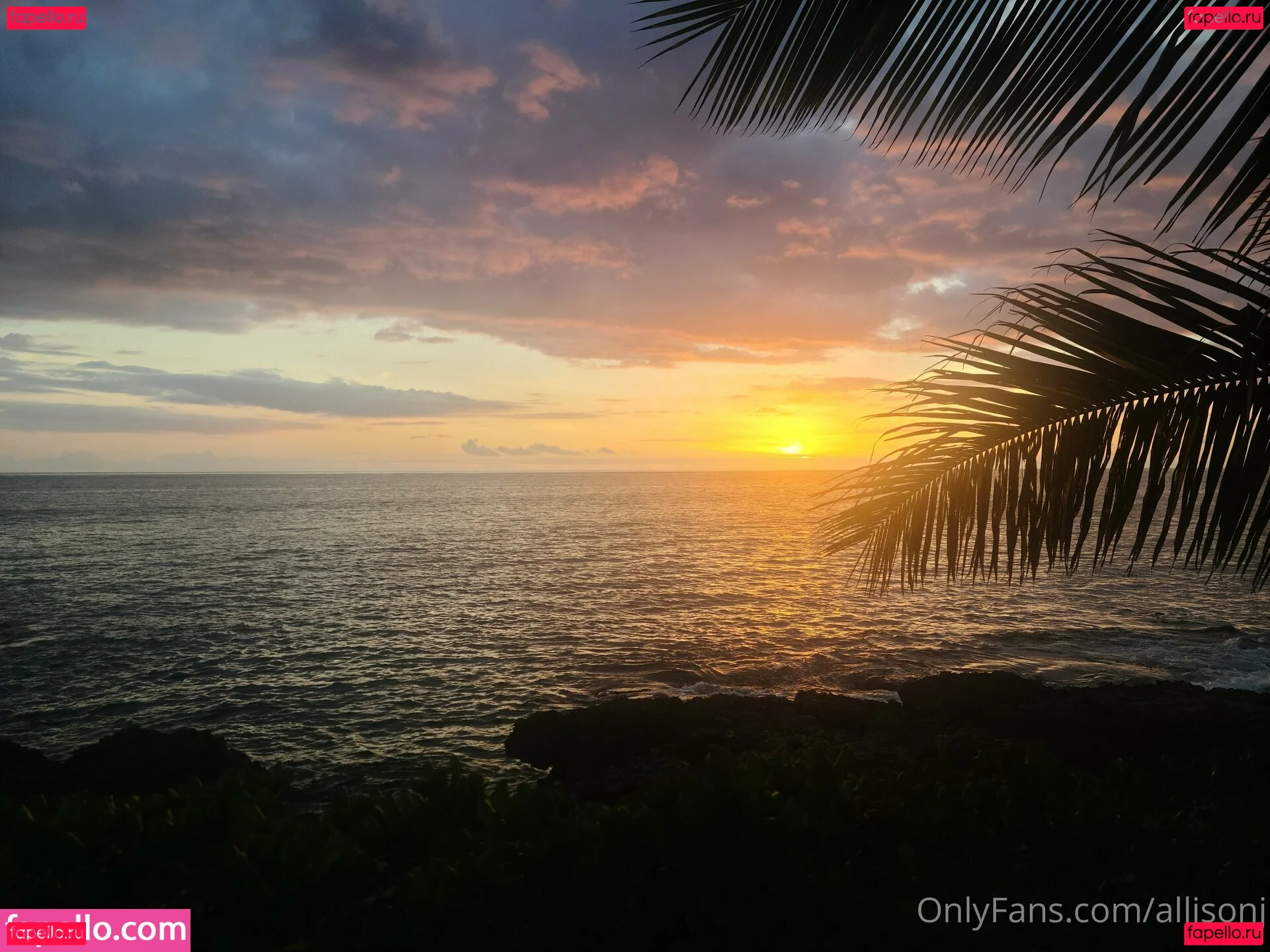 allisonj Onlyfans Photo Gallery 