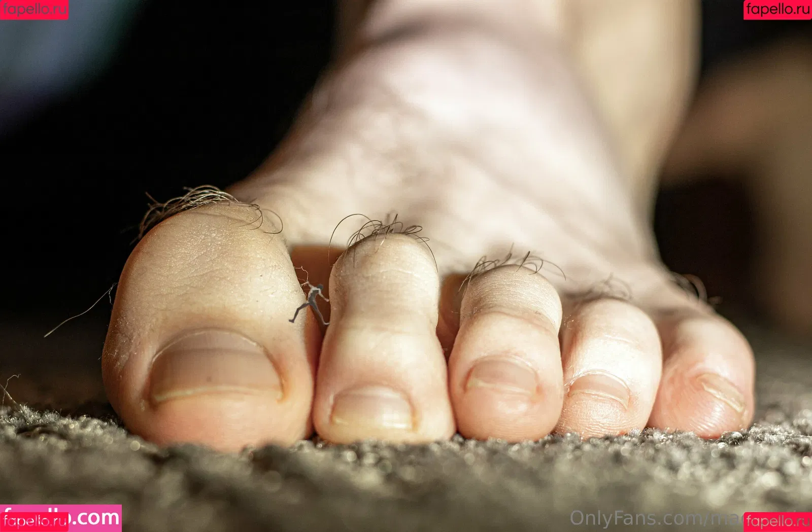 macrocole Onlyfans Photo Gallery 