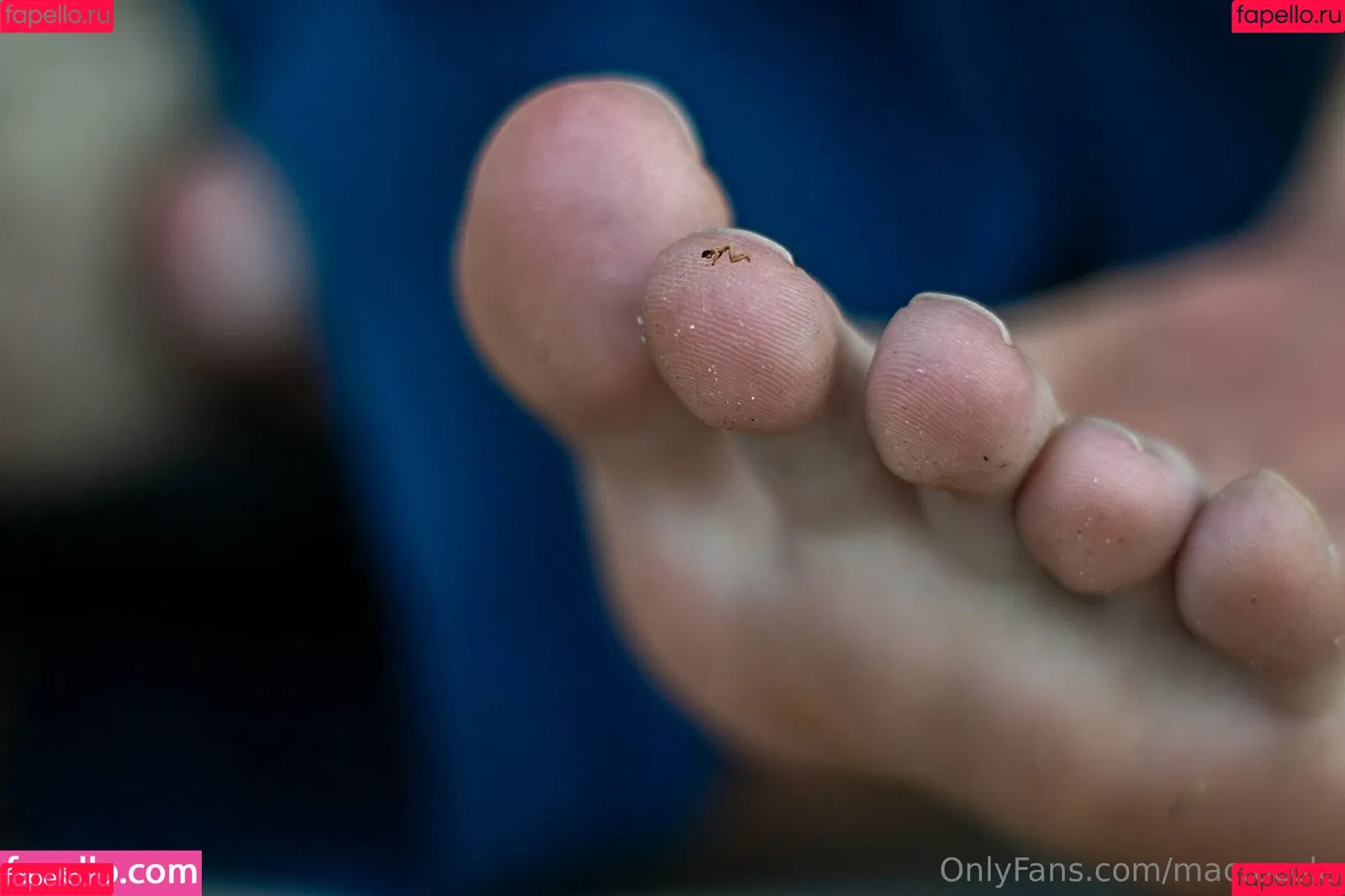 macrocole Onlyfans Photo Gallery 