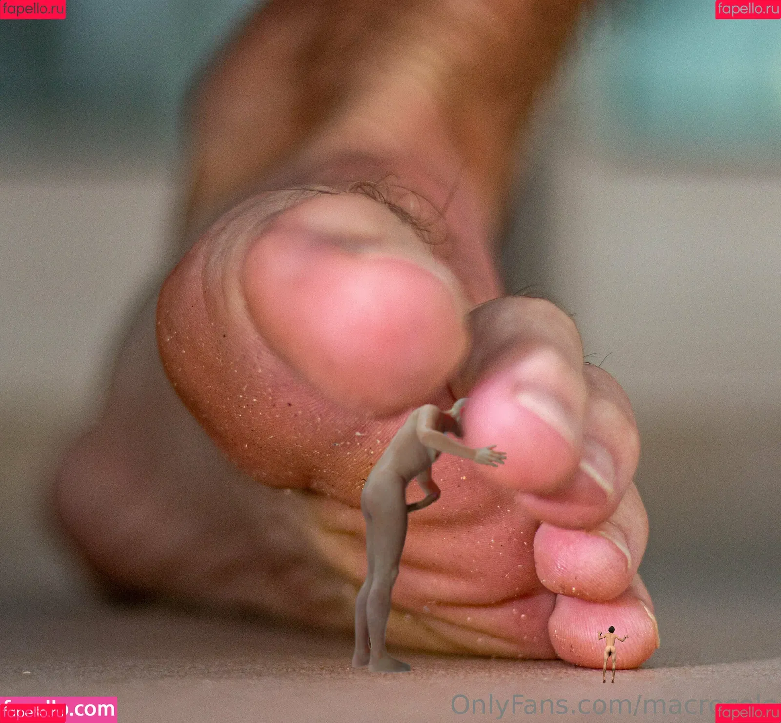 macrocole Onlyfans Photo Gallery 