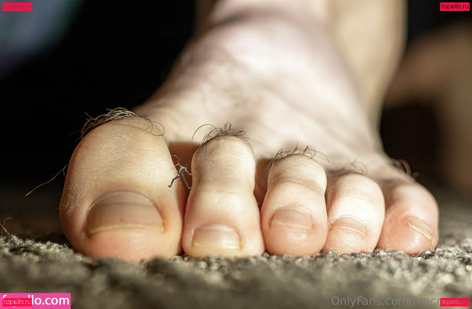 macrocole Onlyfans Photo Gallery 