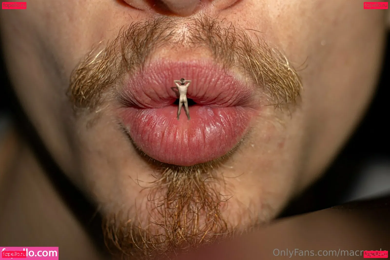 macrocole Onlyfans Photo Gallery 