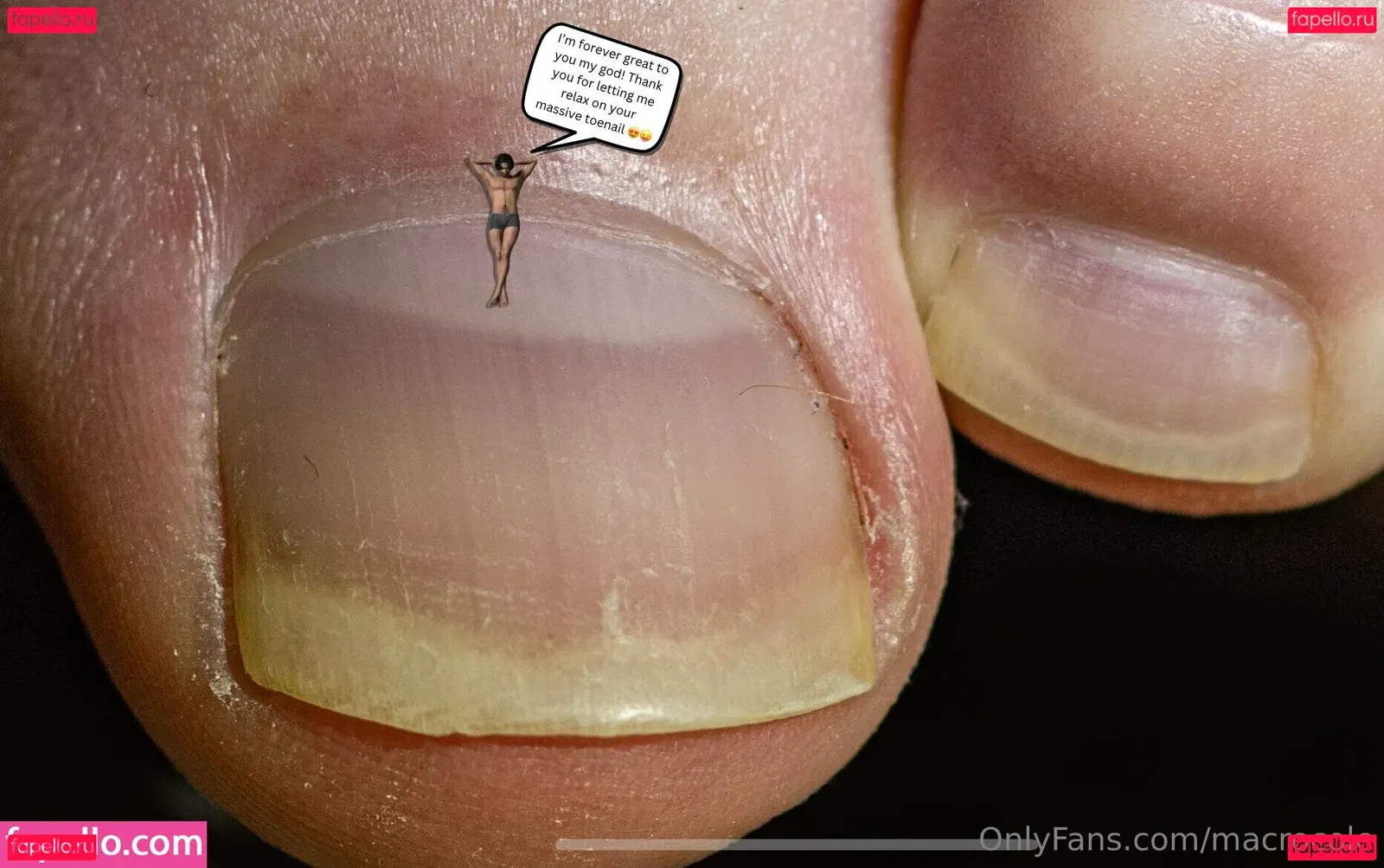 macrocole Onlyfans Photo Gallery 