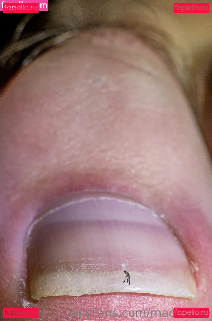 macrocole Onlyfans Photo Gallery 