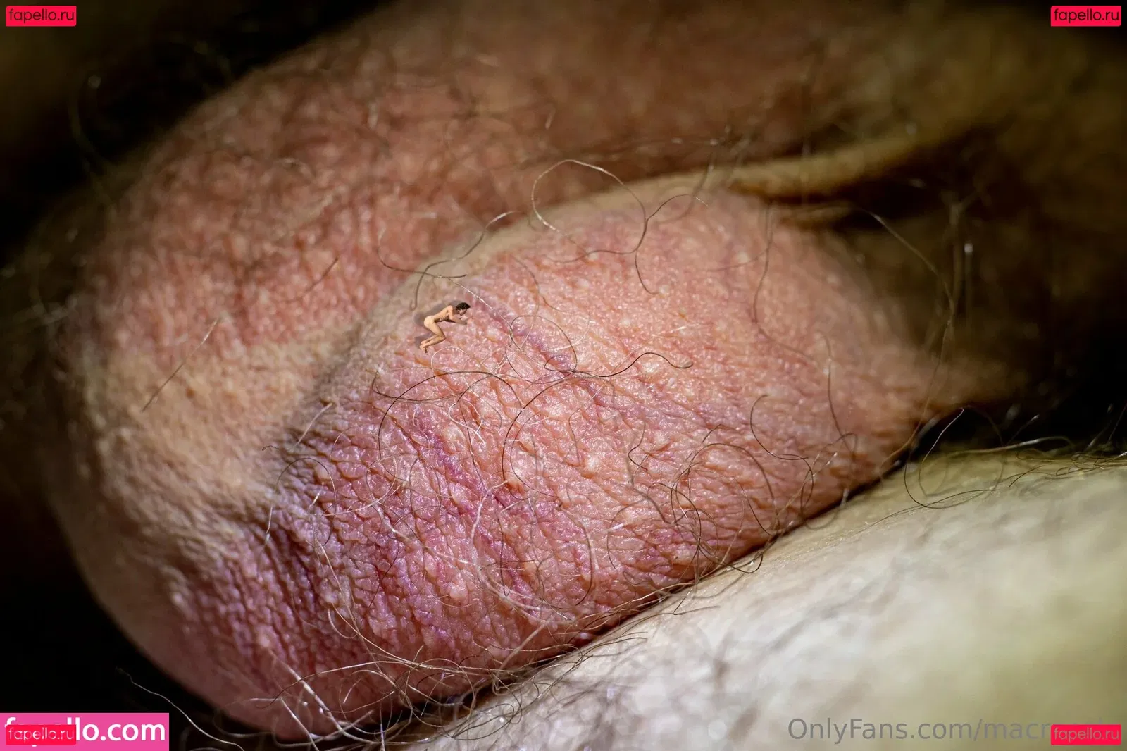 macrocole Onlyfans Photo Gallery 