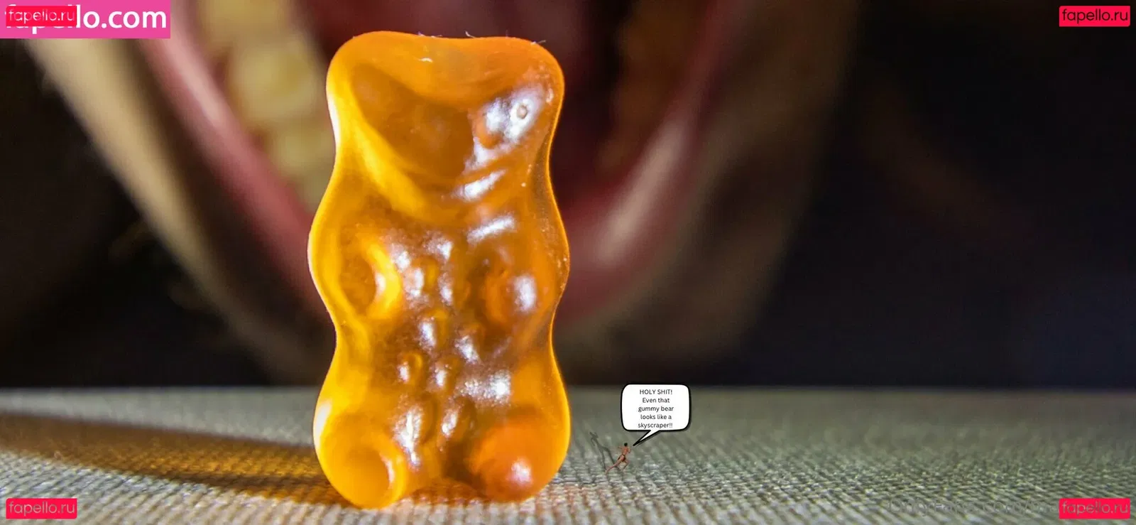 macrocole Onlyfans Photo Gallery 