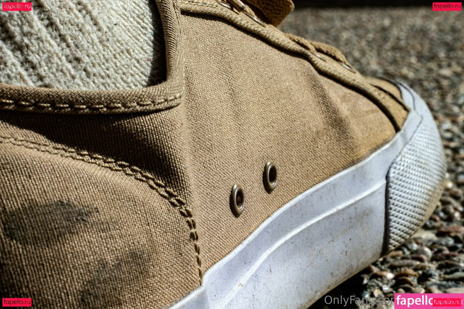 macrocole Onlyfans Photo Gallery 