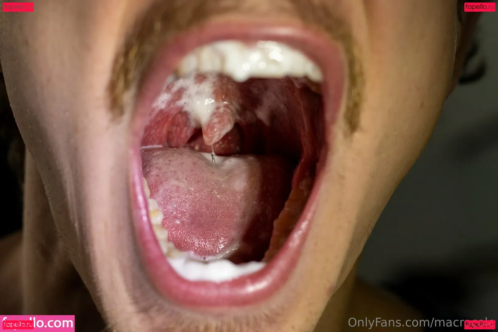 macrocole Onlyfans Photo Gallery 